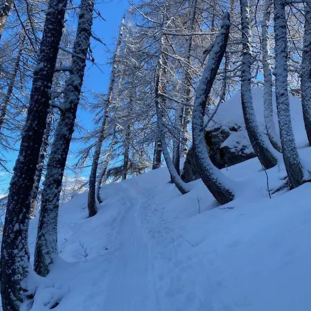 Les Mélèzes 2 Apartamento