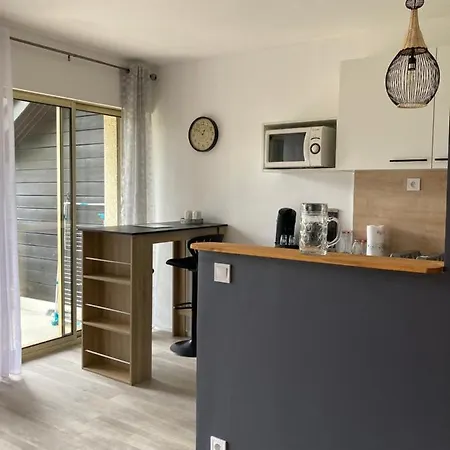 Les Melezes 2 * Barcelonnette