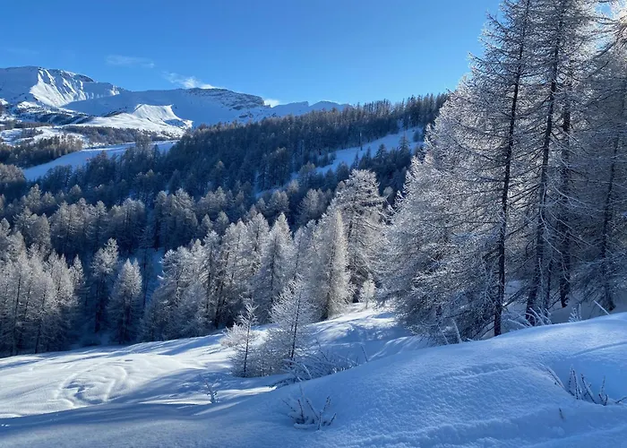 Apartmán Les Melezes 2 *